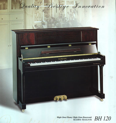 鲍德温(中山)钢琴乐器有限公司