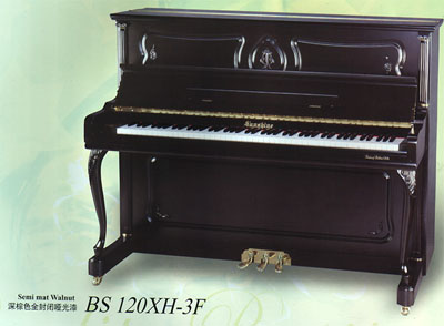 鲍德温(中山)钢琴乐器有限公司
